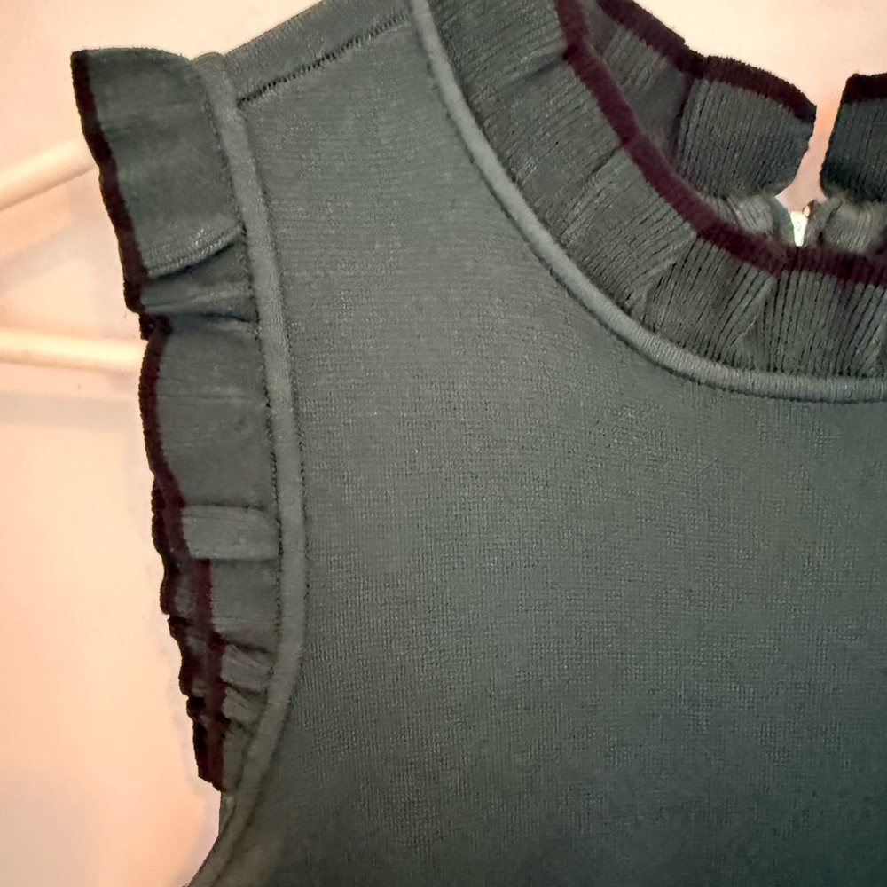 Parker Ryker Dress - Picture 7 of 10